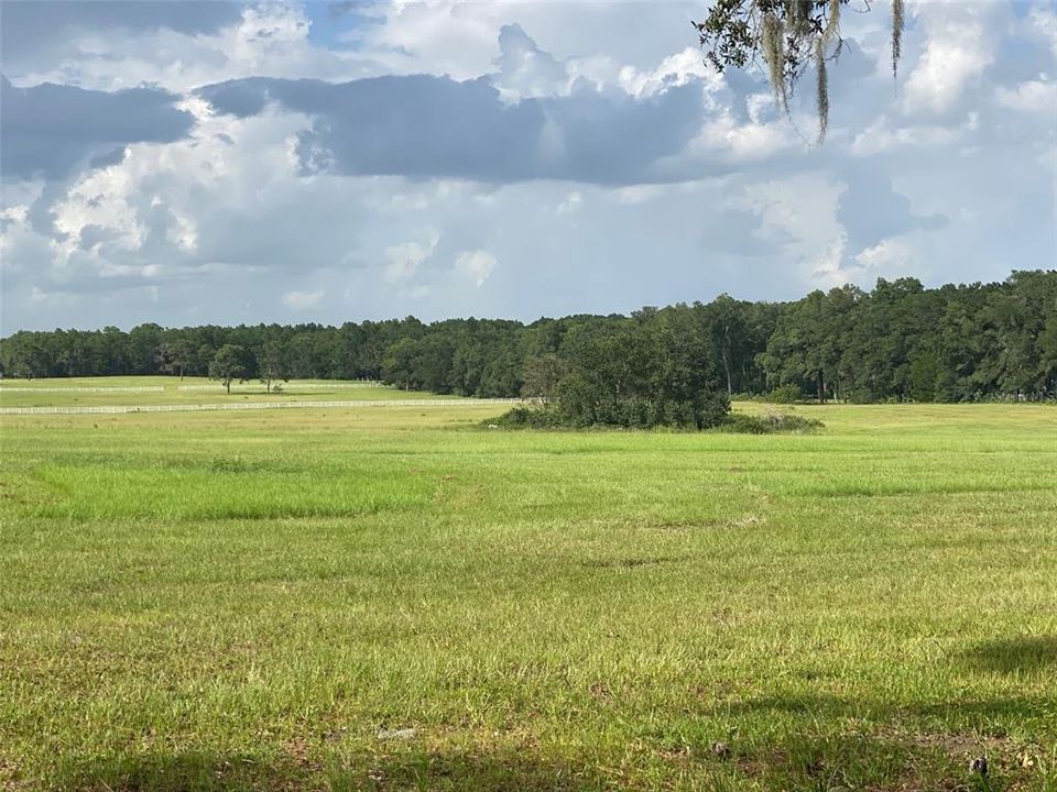 For Sale: $1,200,000 (41.20 acres)