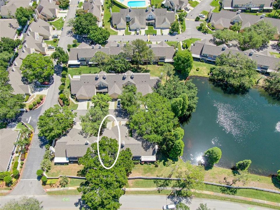 Aerial view of The Pine Grove Condo at Bloomingdale