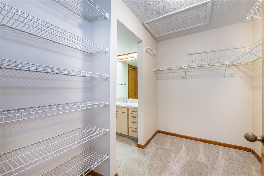 5'x6' walk-through closet with plenty of storage leading to a private vanity with sink