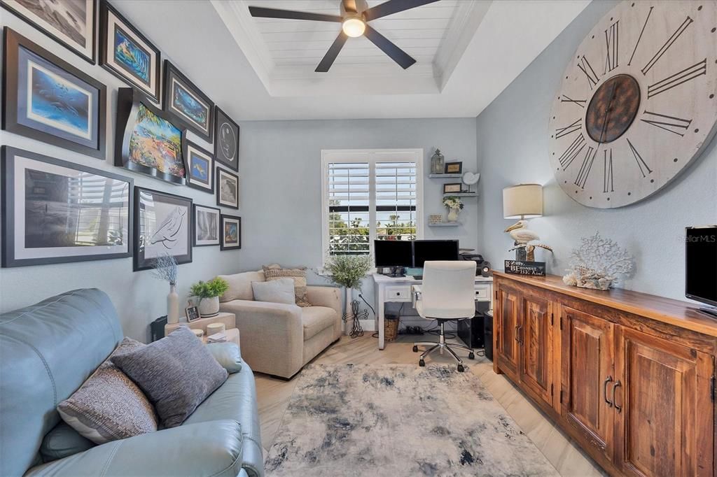 Office with the planked tray ceiling