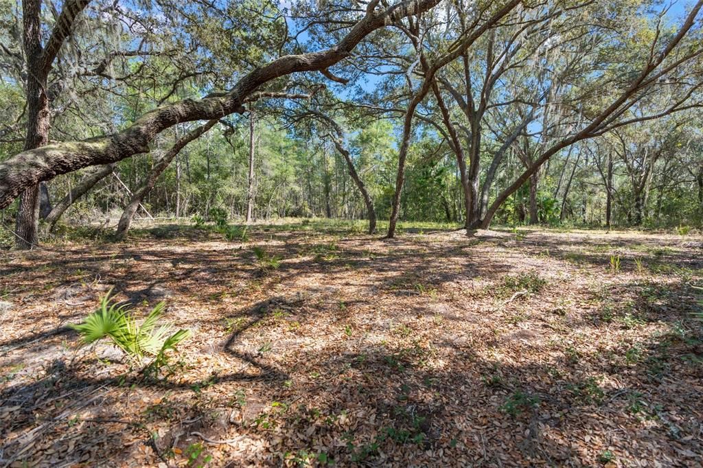 For Sale: $1,275,000 (93.00 acres)