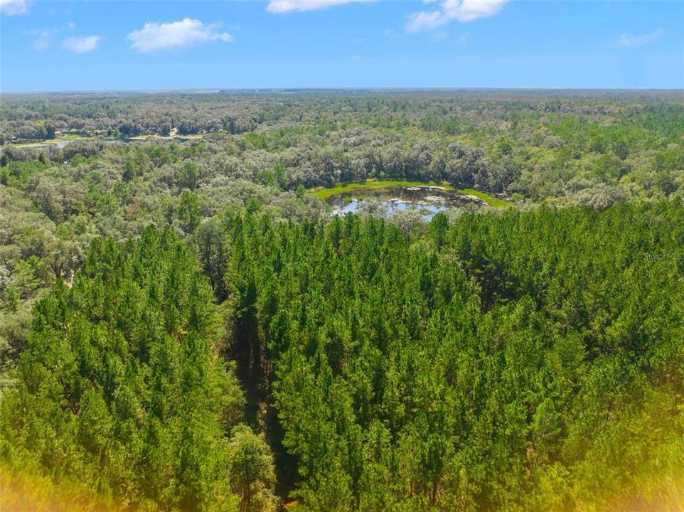 На продажу: $1,275,000 (93.00 acres)