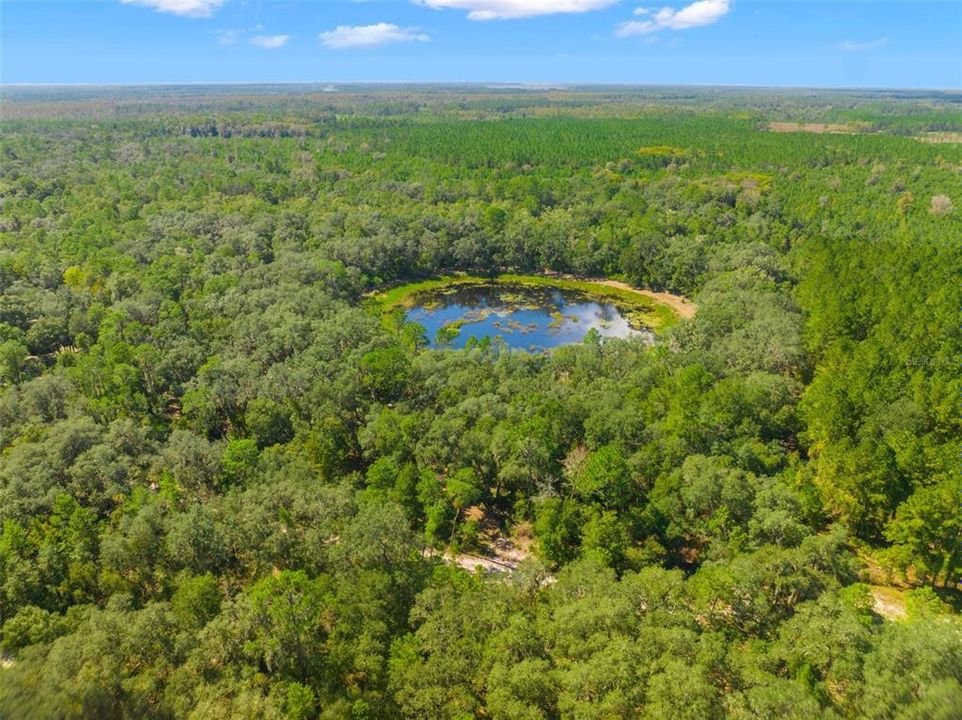 На продажу: $1,275,000 (93.00 acres)