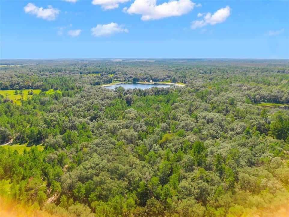 For Sale: $1,275,000 (93.00 acres)