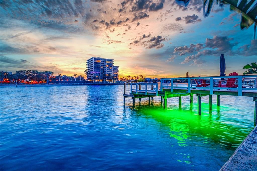 Aquatic life starts to gather around the green dock lights!