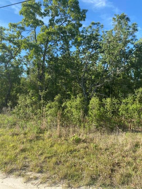 Active With Contract: $30,000 (0.46 acres)