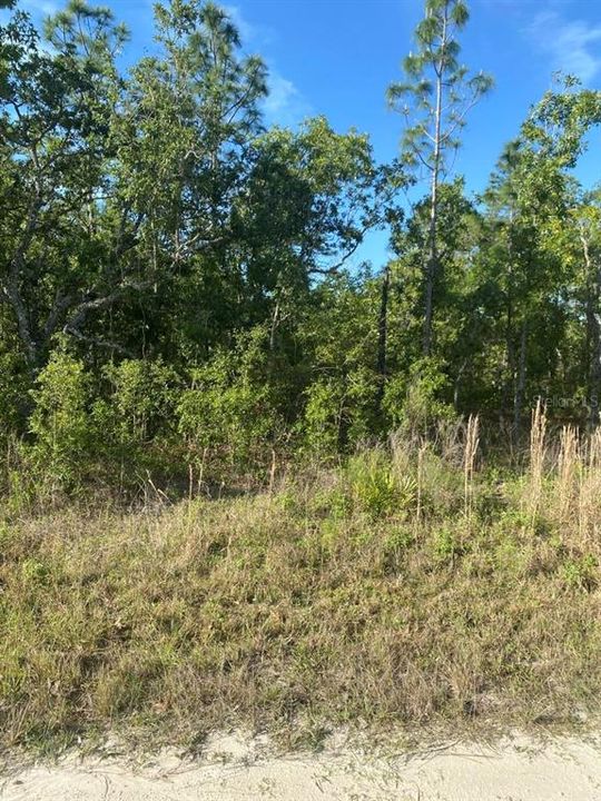 Active With Contract: $30,000 (0.46 acres)
