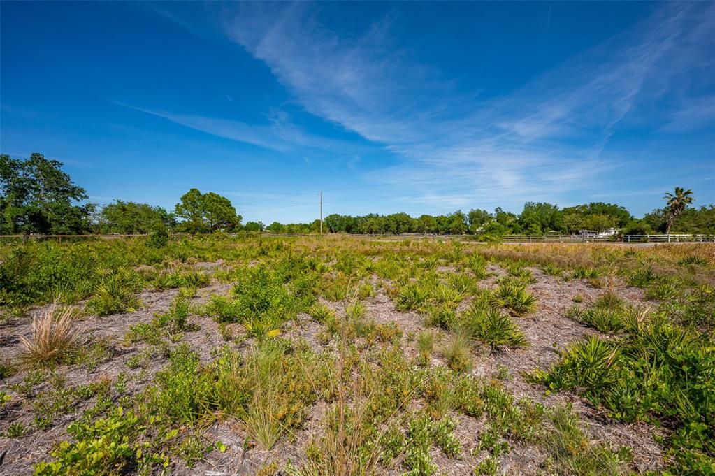 Active With Contract: $385,000 (5.00 acres)
