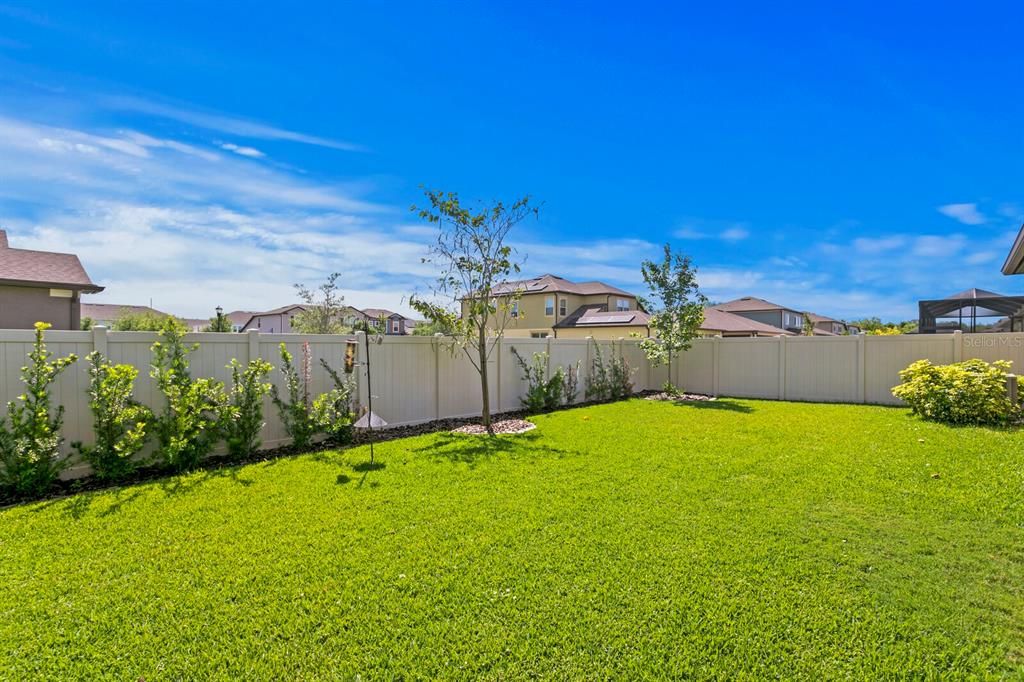Fully fenced backyard with lush, green grass