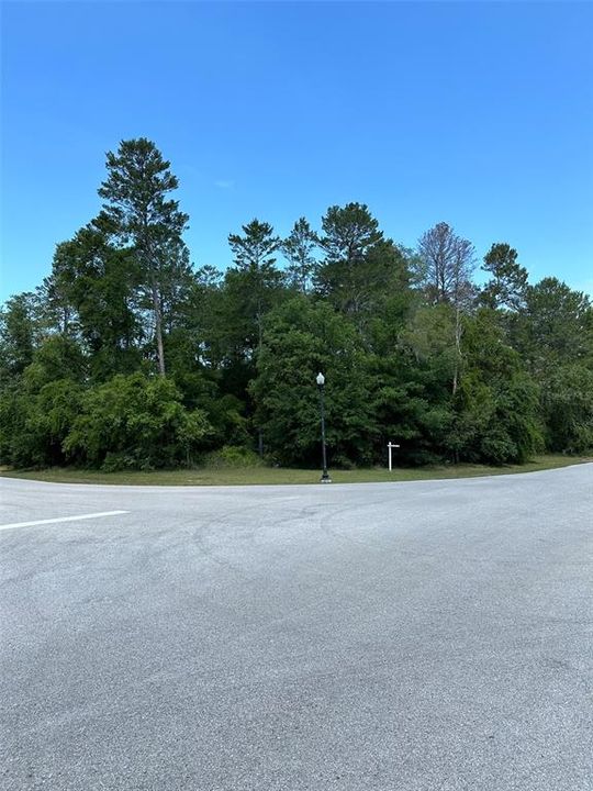 For Sale: $155,000 (2.01 acres)