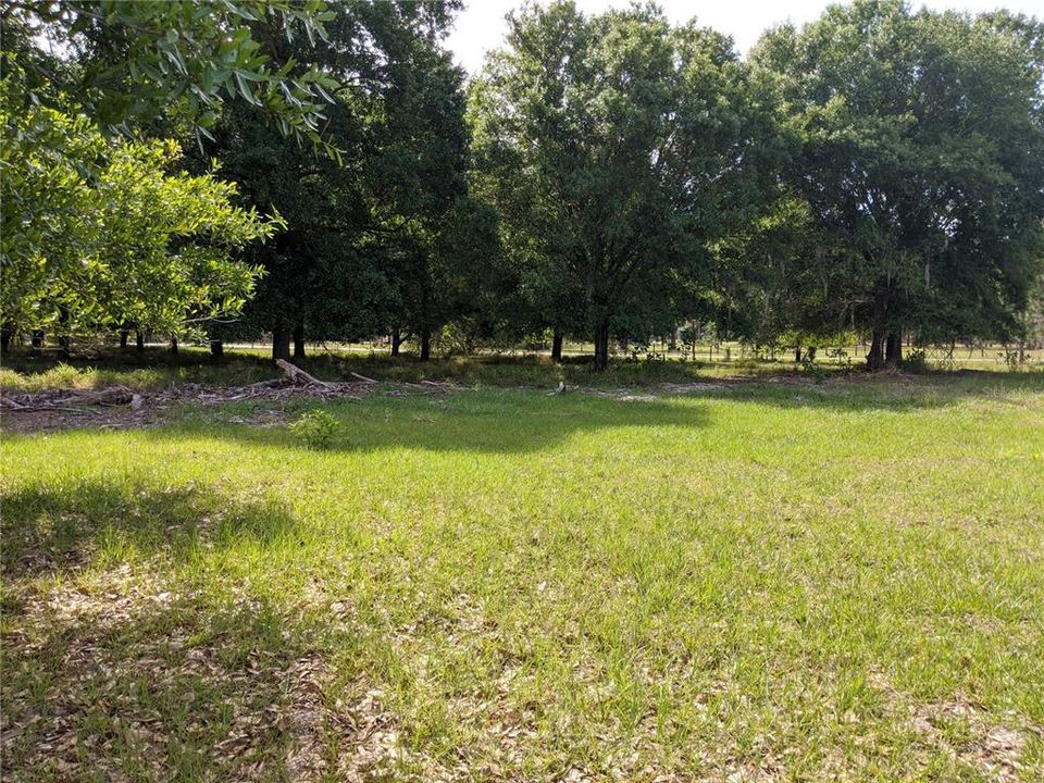 For Sale: $135,000 (0.80 acres)