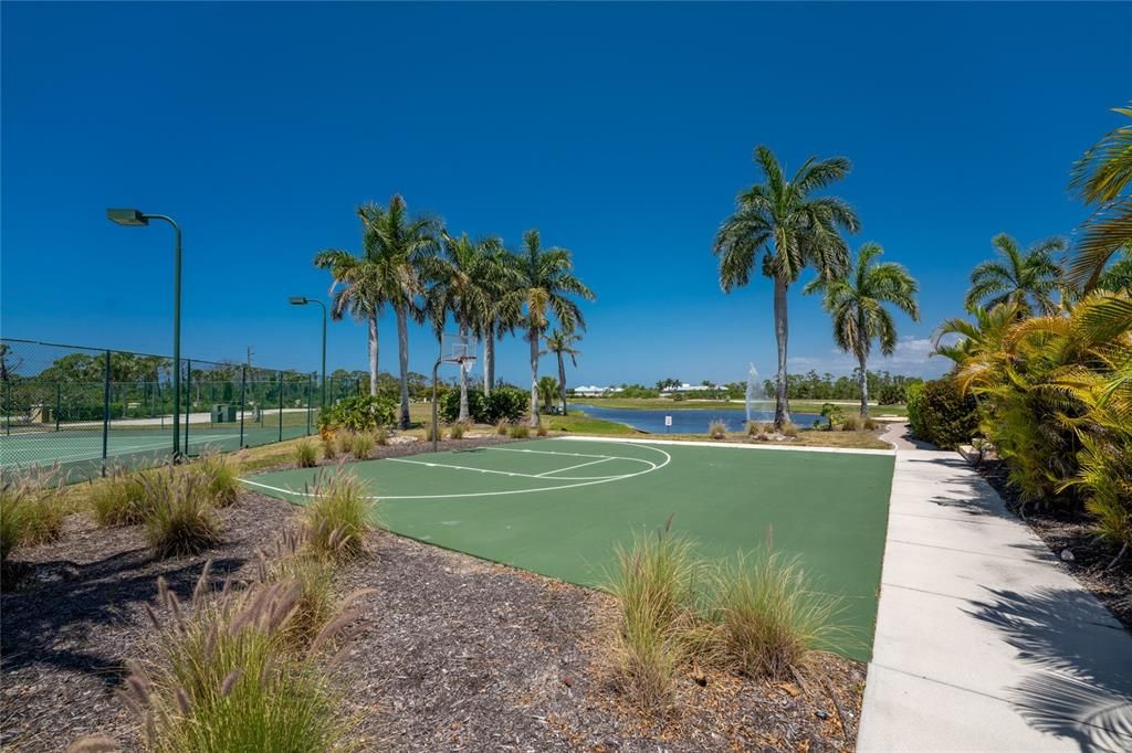 Basketball Court