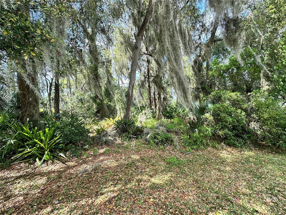 For Sale: $62,999 (0.34 acres)