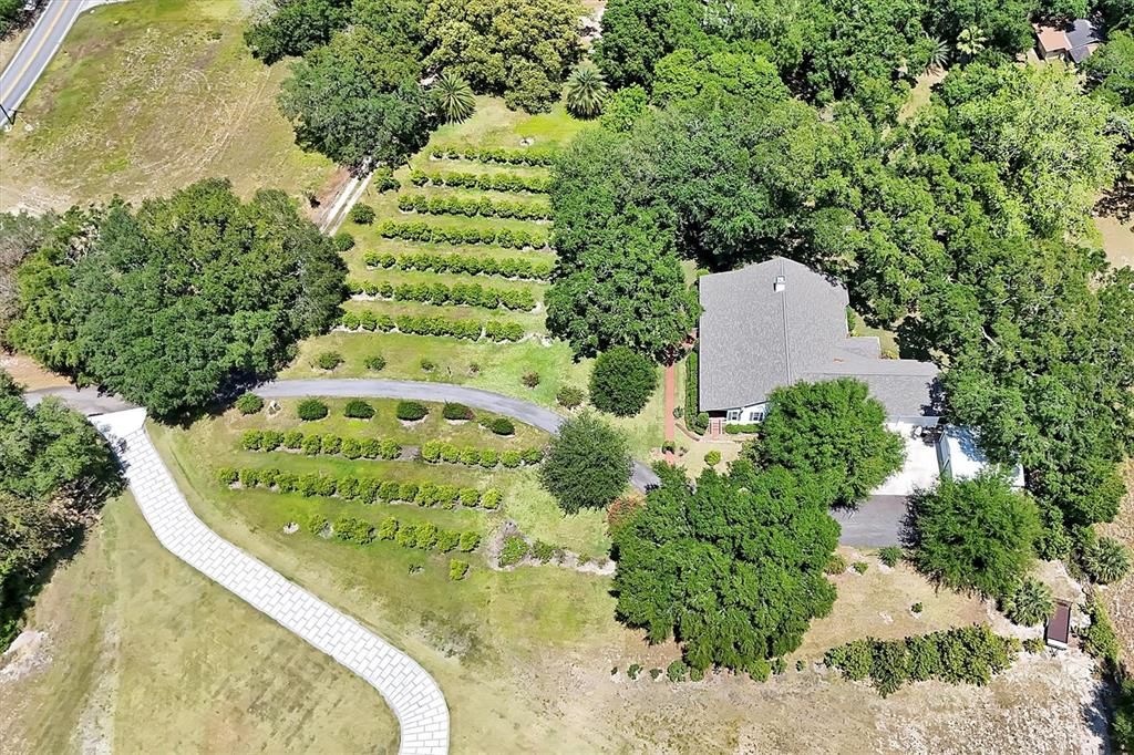 AERIAL OF ENTRY WITH CITUS TREES & HOME