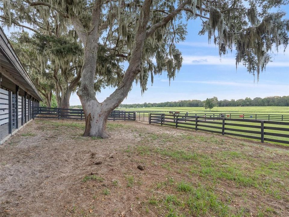 For Sale: $995,000 (18.43 acres)
