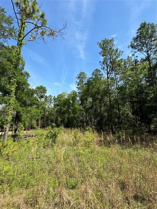 Active With Contract: $65,000 (1.13 acres)