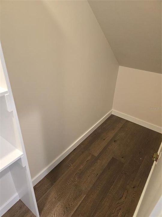 Closet under the stairs