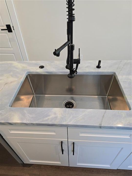 Deep Professional Sink with two way sprayer