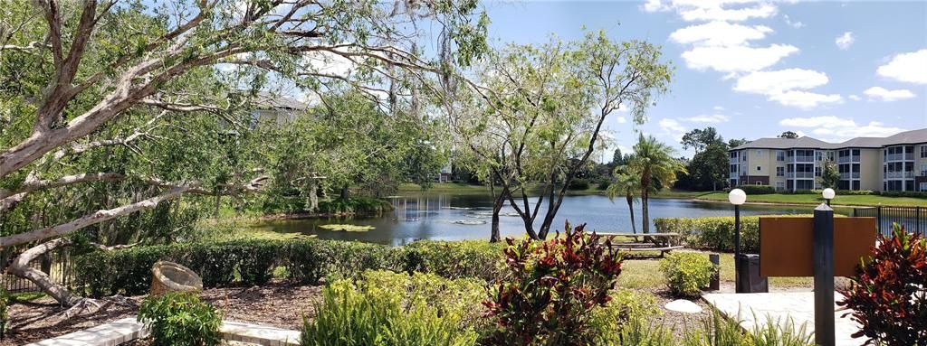 Tropical Oasis with Picnic Tables and Sidewalks