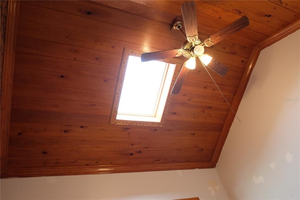 Ceiling and skylight in study