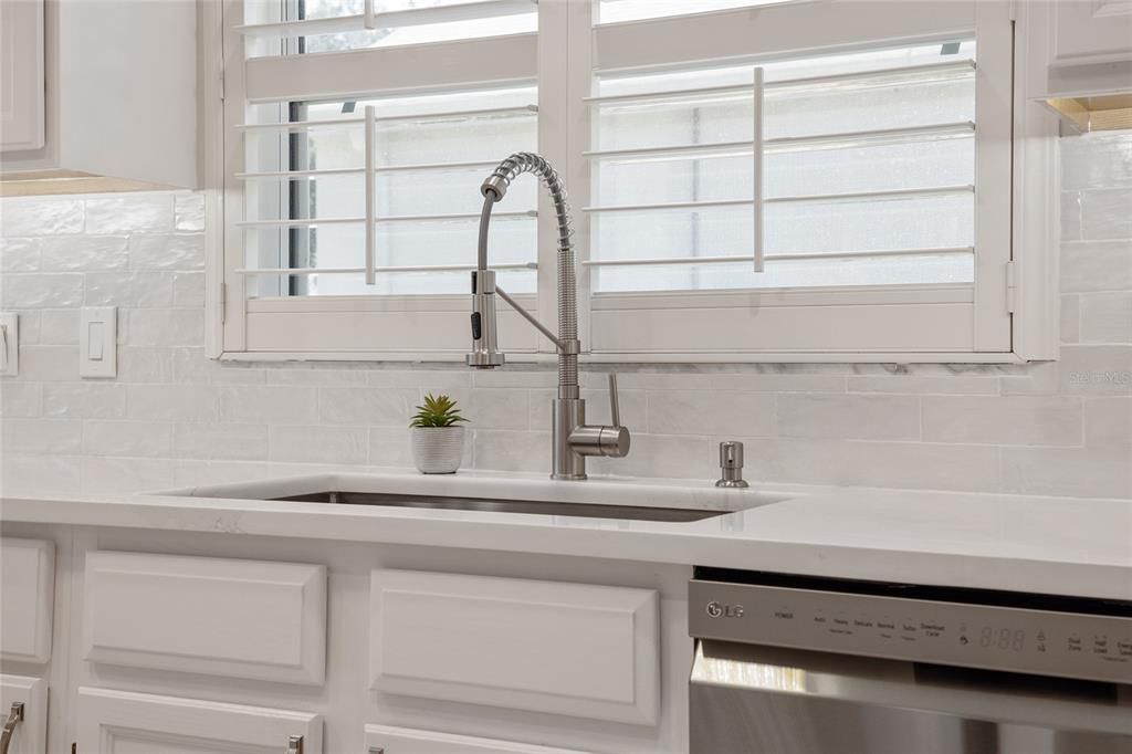Single SS Sink with Gooseneck Faucet