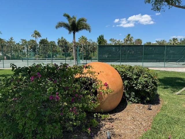 Tennis & Pickleball facility