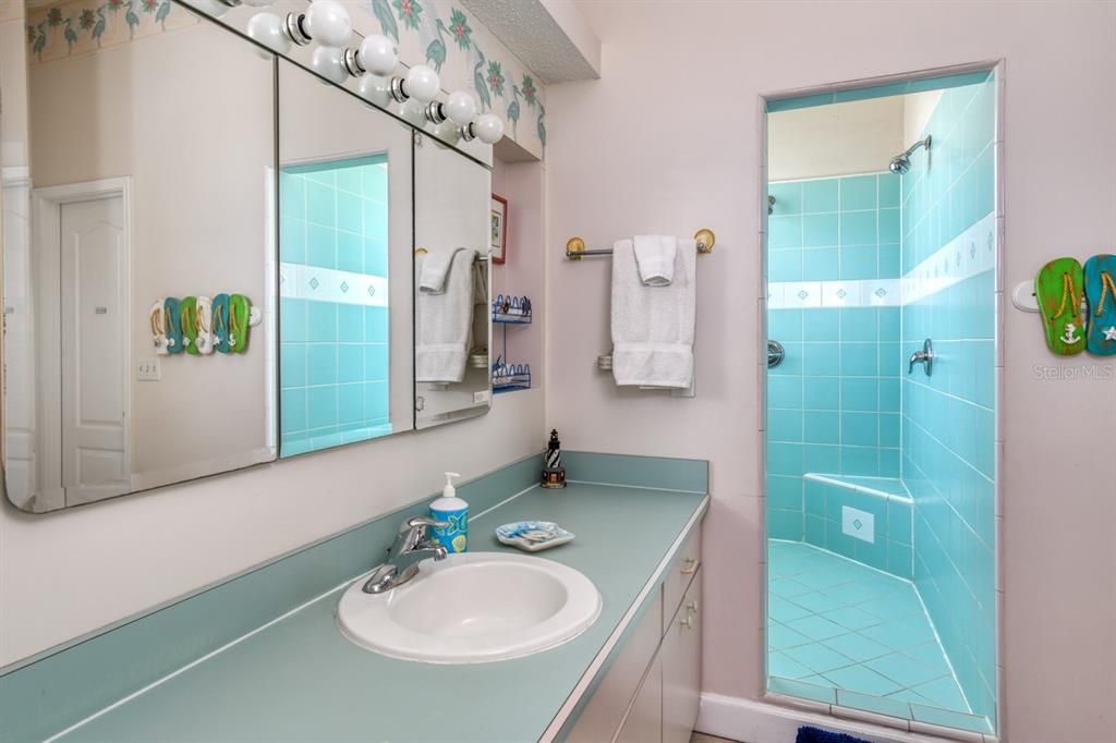 Primary Bathroom Suite with Huge Shower