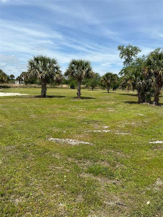 For Sale: $52,000 (1.25 acres)