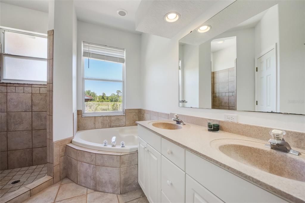 Large Master Bath with double vanities, soaking tub, and walk-in shower