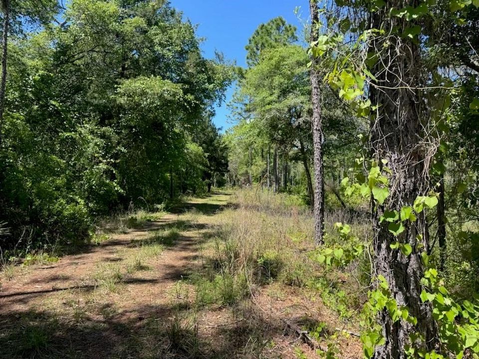 Active With Contract: $47,495 (1.28 acres)
