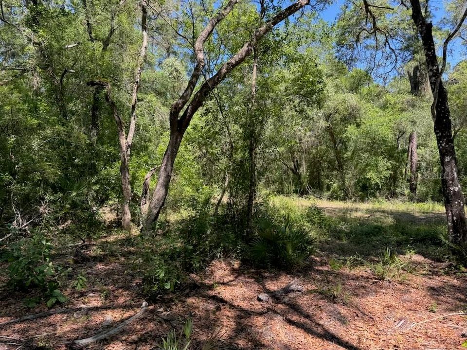 For Sale: $41,495 (0.84 acres)