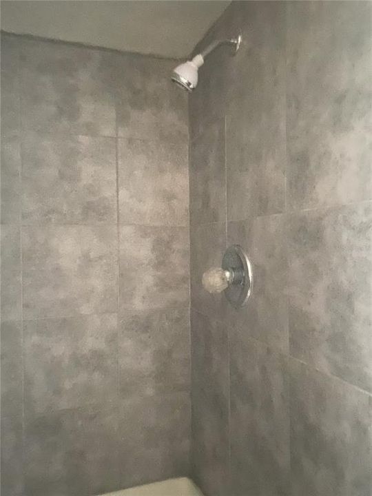 Bath #1 - walkin shower