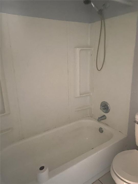 Bath #2 - tub/shower combo