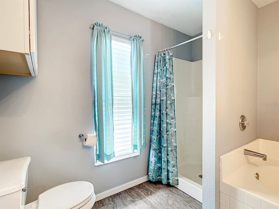 Separate Shower / Tub