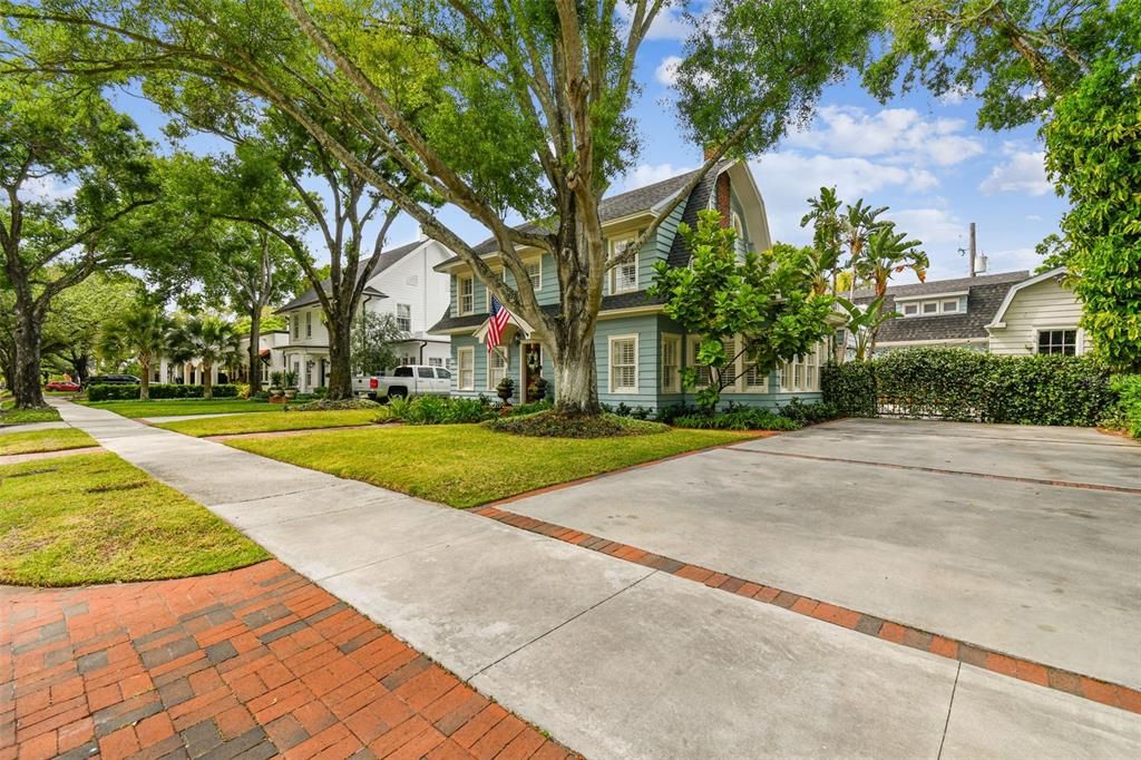 Oversized lot and driveway with gorgeous oak trees