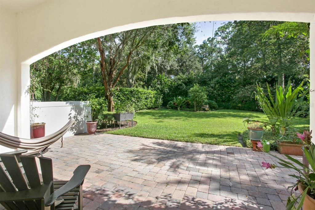 Patio and Backyard