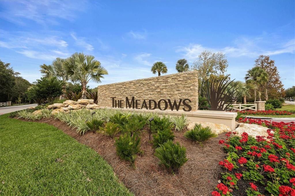 You're in The Meadows Country Club