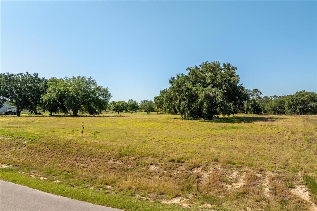 Active With Contract: $250,000 (1.73 acres)