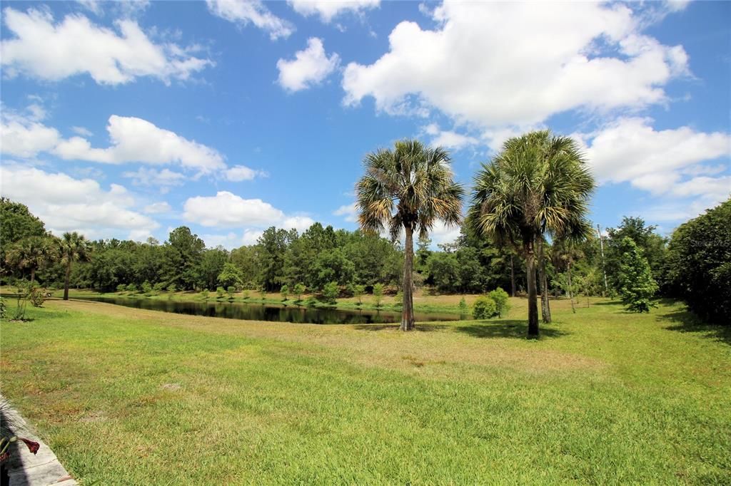 Overlooking pond in back