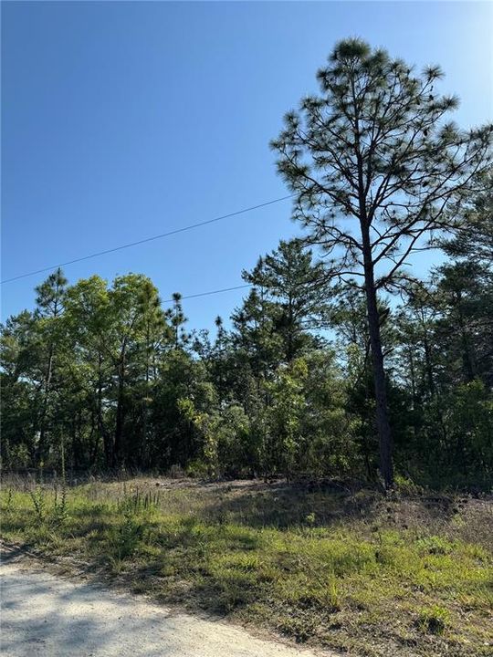 Recently Sold: $57,000 (1.25 acres)