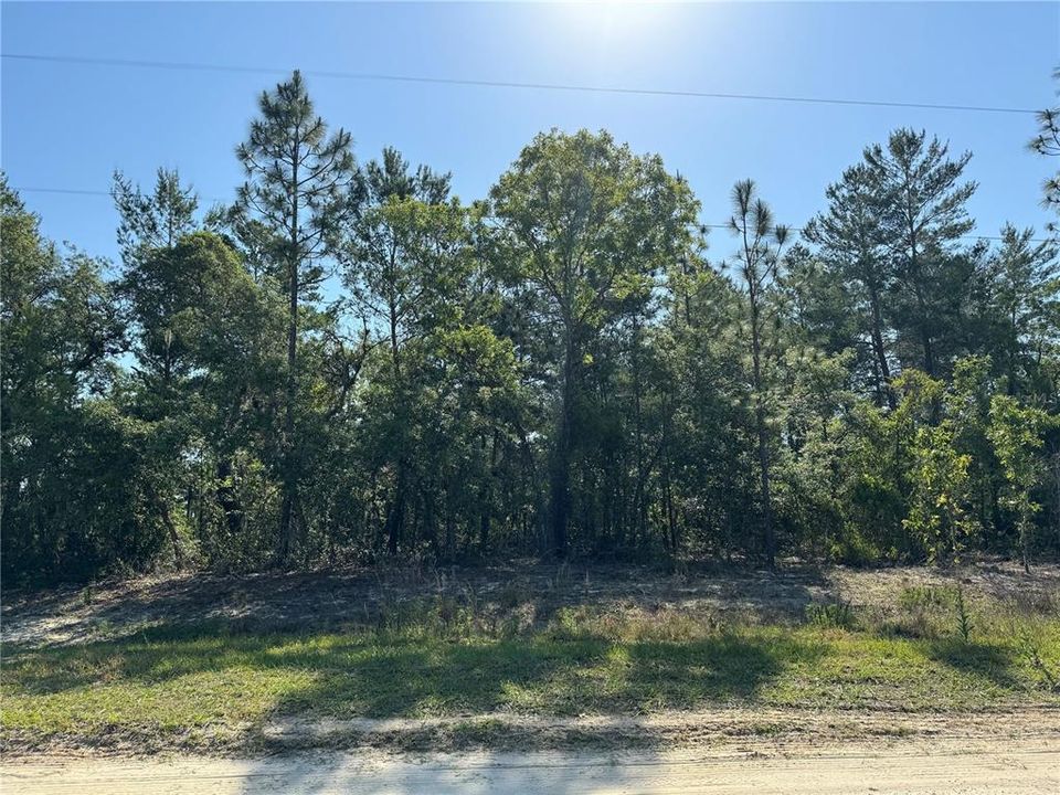 Recently Sold: $57,000 (1.25 acres)