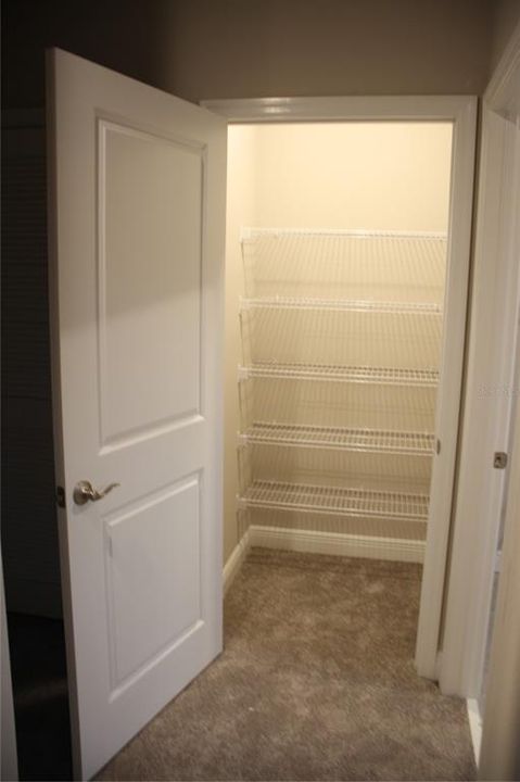 Linen Closet in Hallway