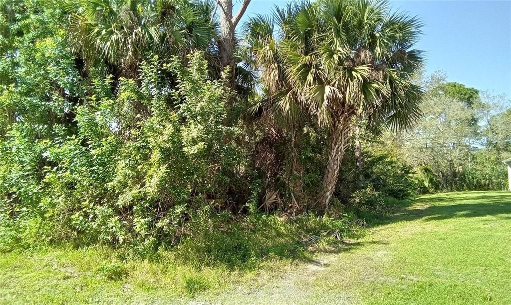 Active With Contract: $30,000 (0.22 acres)