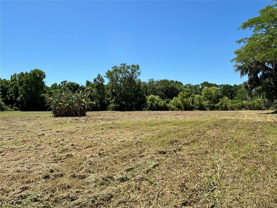 For Sale: $595,000 (4.35 acres)
