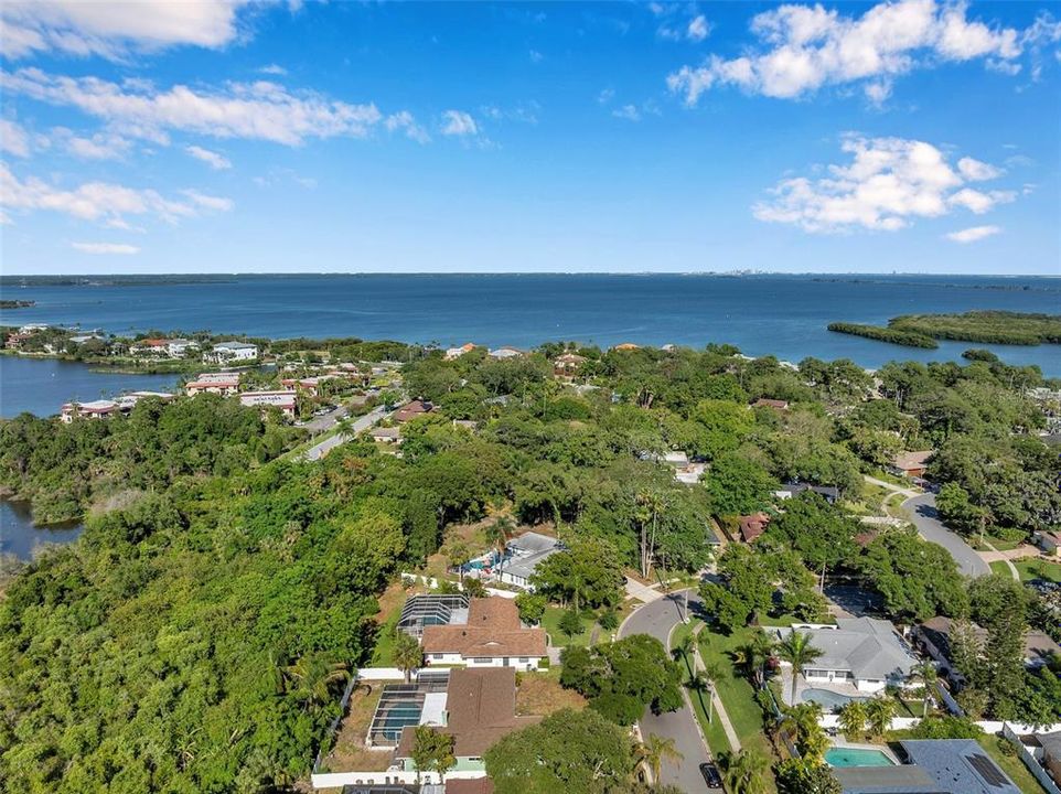 Aerial View of Safety Harbor