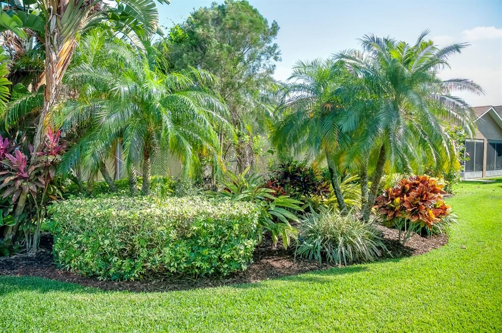 The backyard landscape island not only adds beauty but also provides a visual barrier to the neighboring homes.