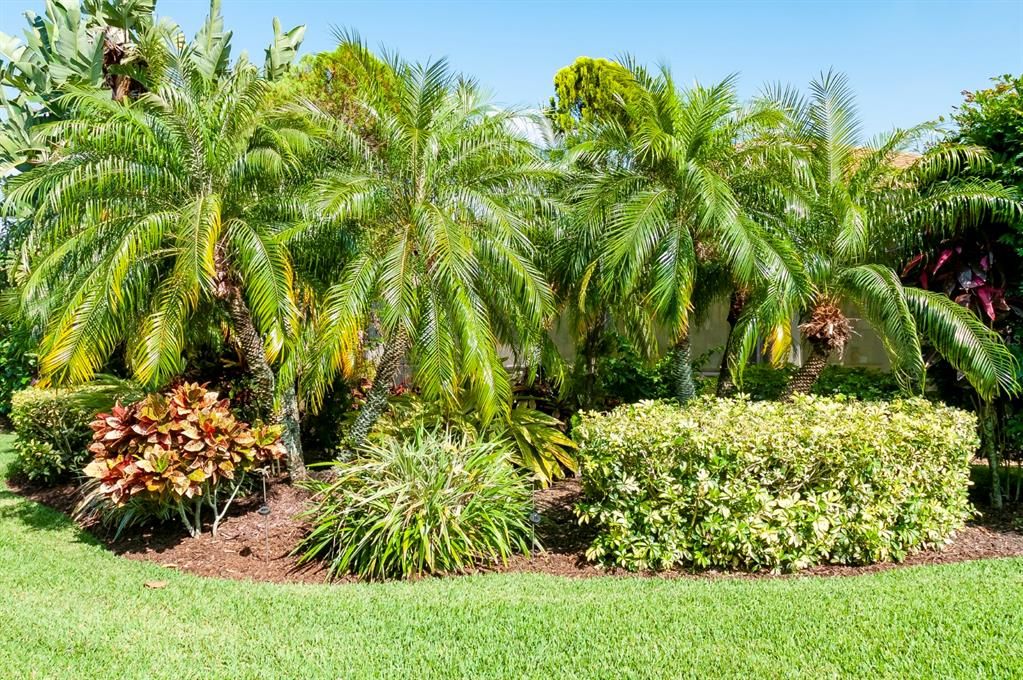 The backyard landscape island's beauty can be enjoyed from the Florida room and the open rear patio.