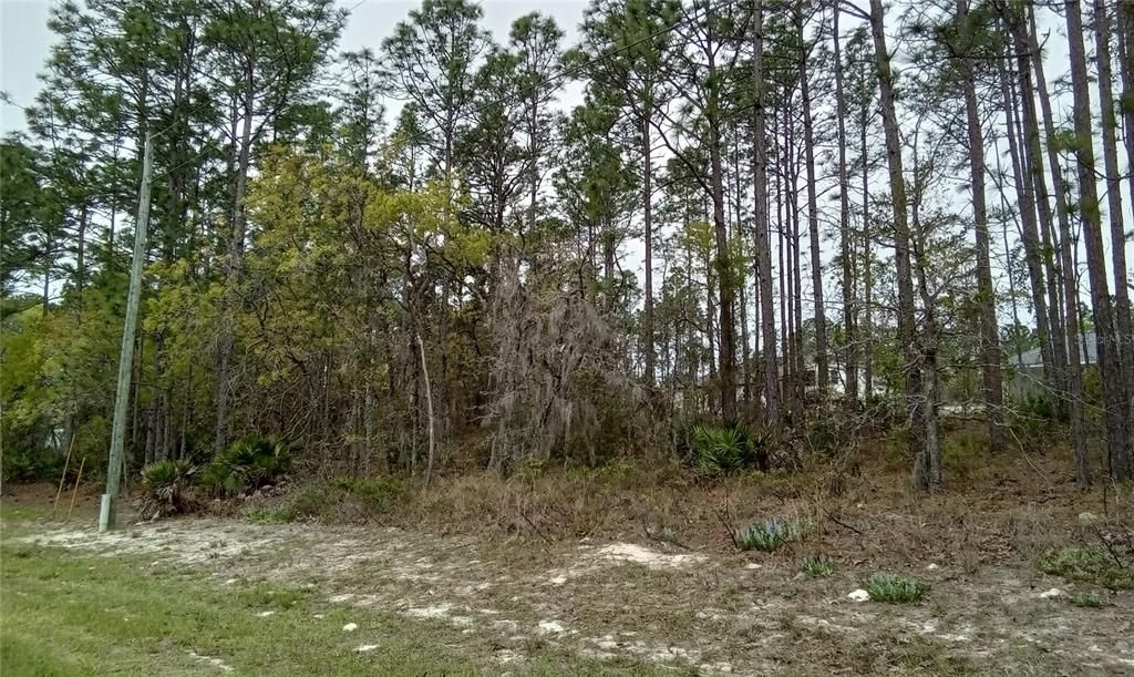 Active With Contract: $33,500 (0.23 acres)