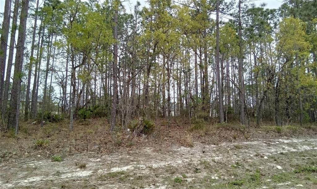 Active With Contract: $33,500 (0.23 acres)