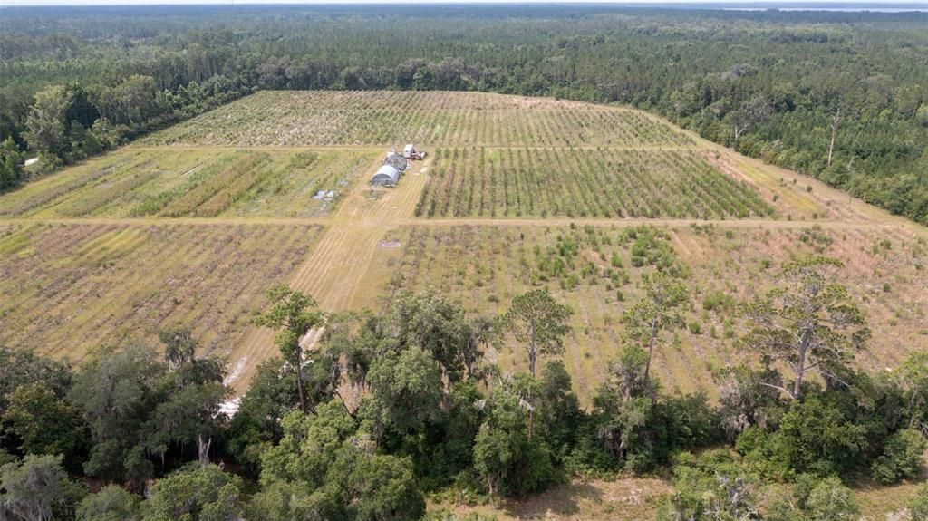 For Sale: $375,000 (23.52 acres)